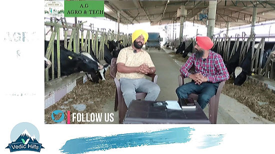 Modern Dairy Farm (Mr.Hardeep singh Dairy Farm) full video | Best Model In Punjab | PDFA | Hf Cow